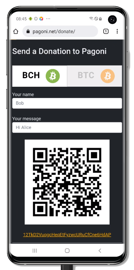 Pagoni Donation screen for BCH and BTC donations